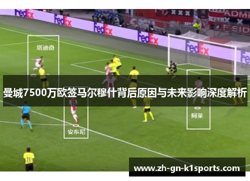 曼城7500万欧签马尔穆什背后原因与未来影响深度解析